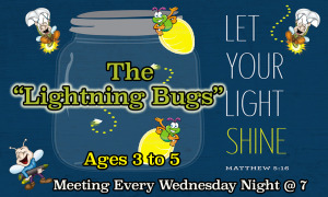 lightning Bugs